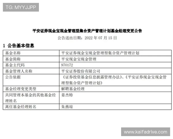 凯发PAP德州安全保障措施详解，保障玩家资金与个人信息安全的最佳实践