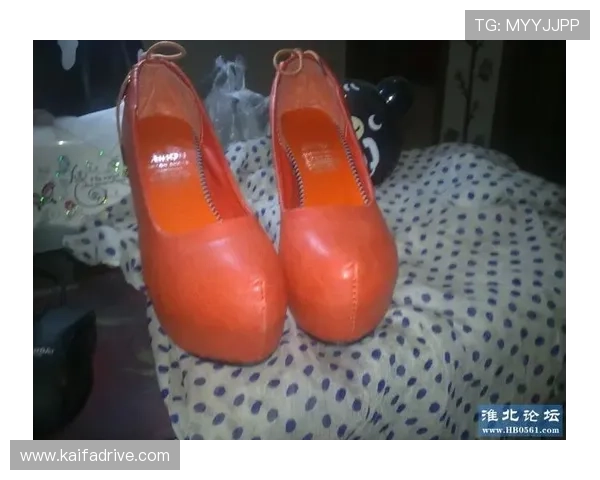 凯发网网站官方地址查询常见问题及解决方案详解